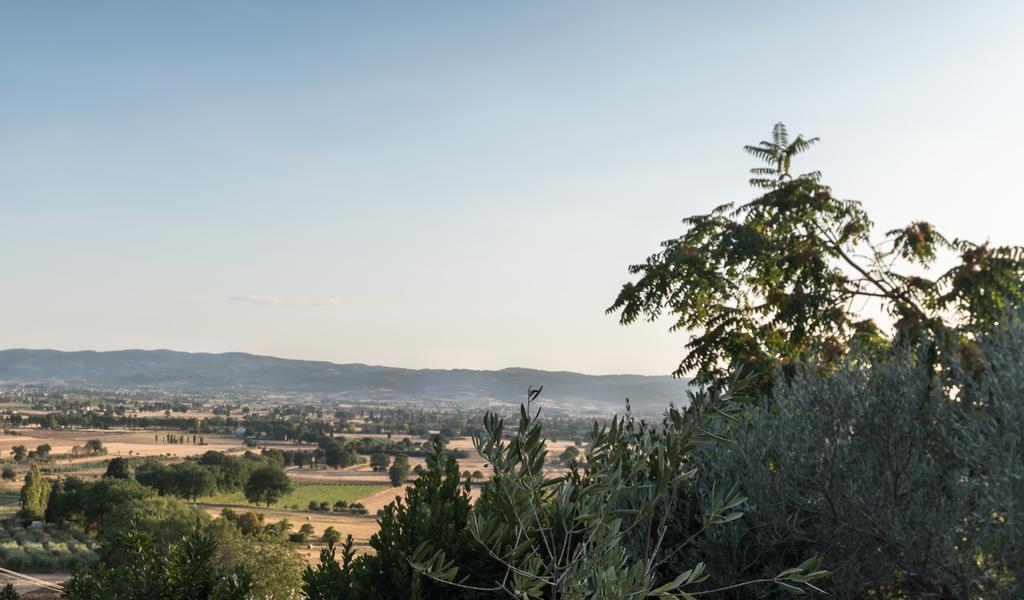 Bed & Breakfast Cantico Delle Creature