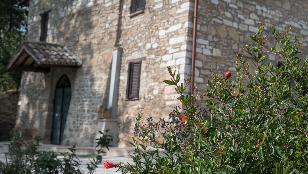Cantico Delle Creature Bed & Breakfast 2*