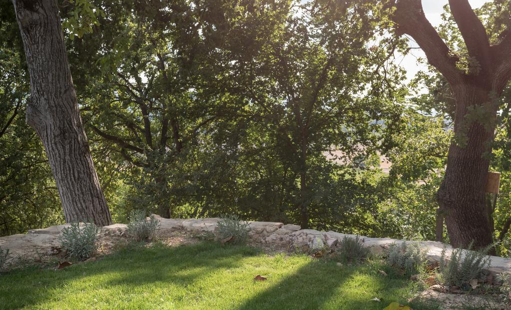 Bed & Breakfast Cantico Delle Creature Assisi