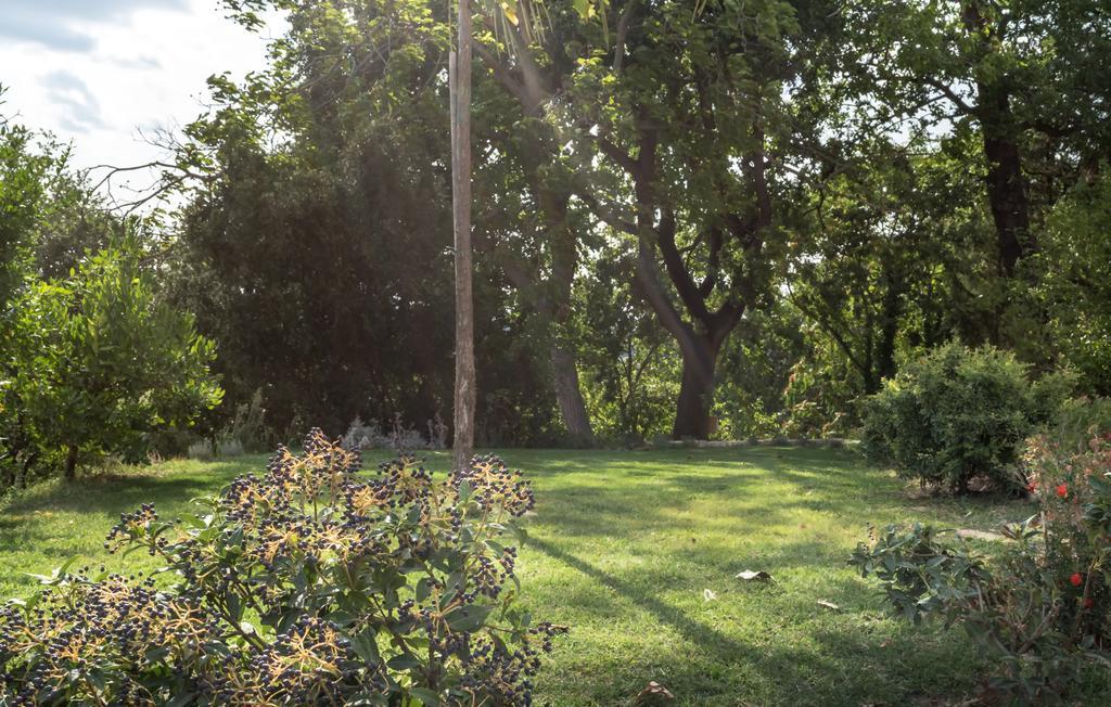 Cantico Delle Creature Bed & Breakfast Assisi